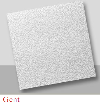 Placa Porex M. Gante
