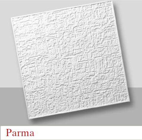 Placa Porex M. Parma